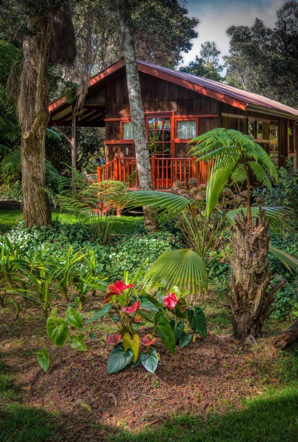 Crater Rim Cabin Волкано Екстер'єр фото